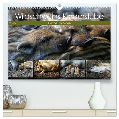 Wildschweins Kinderstube - Freche Frischlinge (hochwertiger Premium Wandkalender 2027 DIN A2 quer), Kunstdruck in Hochglanz
