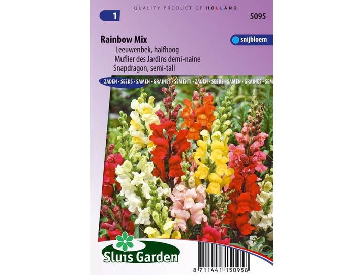 Antirrhinum Majus zaden Rainbow mix Leeuwebek