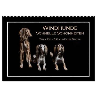 Windhunde - Schnelle Schönheiten (Wandkalender 2027 DIN A2 quer), CALVENDO Monatskalender