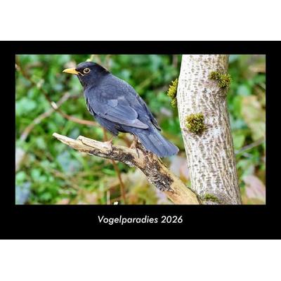 Vogelparadies 2026 Fotokalender DIN A3