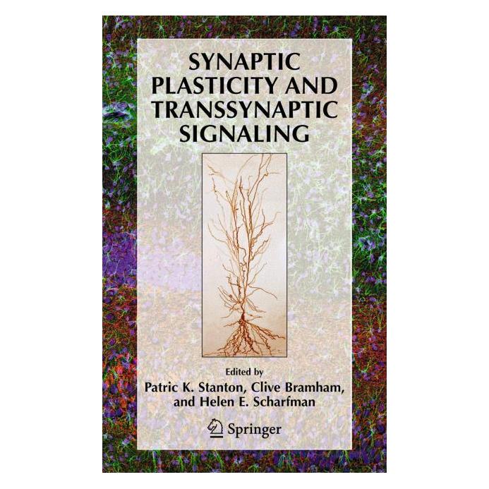 Springer Synaptic Plasticity and Transsynaptic Signaling (Englisch, Hardcover, Clive Bramham, Helen E. Scharfman) (35055617)
