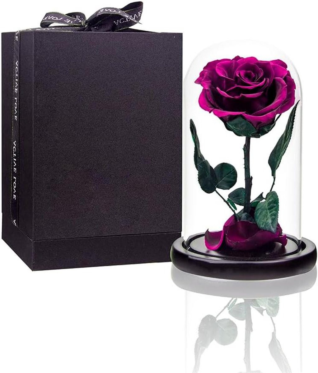 Geconserveerde Roos - Echte Bloem - Medium Formaat - Roze Paars
