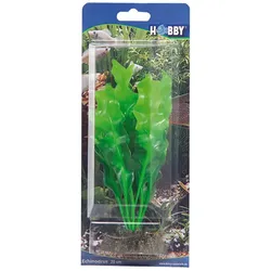 Hobby Echinodrus, 20 cm - künstliche Aquariumpflanze