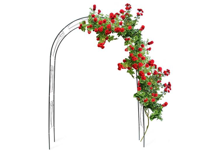 Rankbogen für Rosen mit Verzierung Dunkelgrün