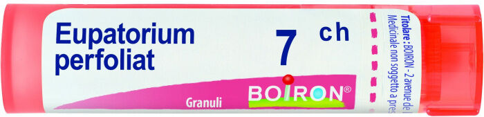 BOIRON Srl EUPATORIUM PERF.Tubo  7CH