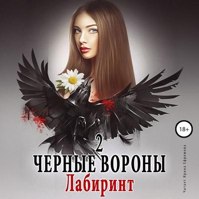 CHyornye vorony. Kniga 2. Labirint - Ul'yana Soboleva, Audio, 4064066985707