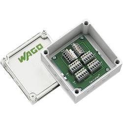 WAGO 810-900/002-000 Kabelverschraubungen 1 St.
