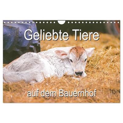 Geliebte Tiere auf dem Bauernhof (Wandkalender 2027 DIN A4 quer), CALVENDO Monatskalender