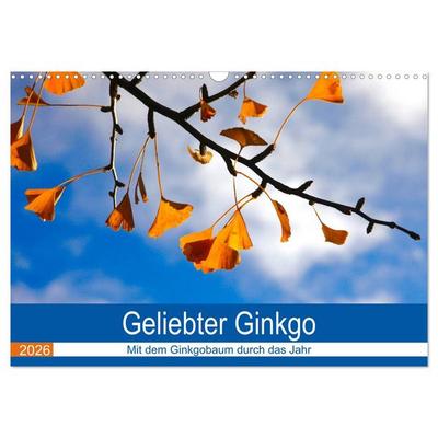 Geliebter Ginkgo (Wandkalender 2026 DIN A3 quer), CALVENDO Monatskalender