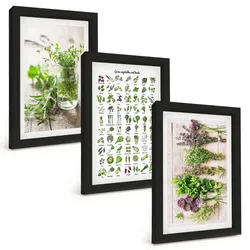 BILDER SET 3er Set - 20x30 cm Schwarzer Rahmen - Getrocknete Kräuter für die Küche
