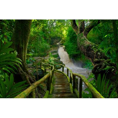 Fototapete PAPERMOON "TROPISCHER WALD-BAUM DSCHUNGEL SONNE WEG WASSERFALL", bunt, B:4m L:2,6m, Vlies, Tapeten