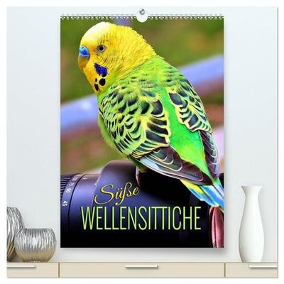Süße Wellensittiche (hochwertiger Premium Wandkalender 2026 DIN A2 hoch), Kunstdruck in Hochglanz