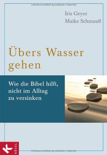 Iris Geyer - Übers Wasser gehen: Wie die Bibel hilft, nicht im Alltag zu versinken - Preis vom 09.10.2026 07:28:09 h