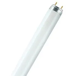 Philips T8 Leuchtstofflampe "TL-D 36W-1/33-640 1m" 1000mm 36W 640