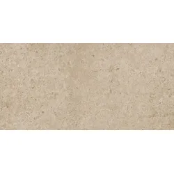 Ragno Eterna Bodenfliese greige 30x60 cm matt ETR8K1