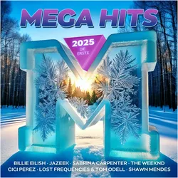 MegaHits 2025 - Die Erste, Hörbücher von Artists Various