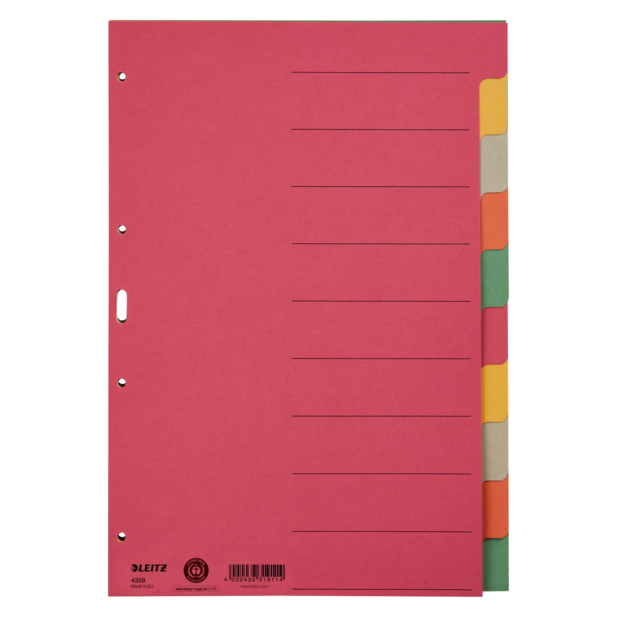 Leitz Register Karton (4359-00-00)