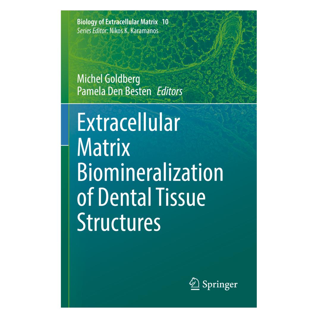 Springer Extracellular Matrix Biomineralization of Dental Tissue Structures (Englisch, Softcover, Michel Goldberg, Pamela Den Besten) (56892253)