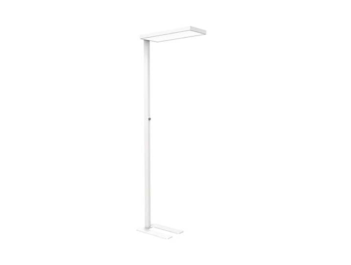 MAUL LED Stehlampe weiß MAULjura dimmbar fürs Büro blendarm neutralweiß stufenlos anpassbare Helligkeit, direktes und indirektes Licht, angenehmes Arbeiten mit wenig Blendung, platzsparender U-Fuß