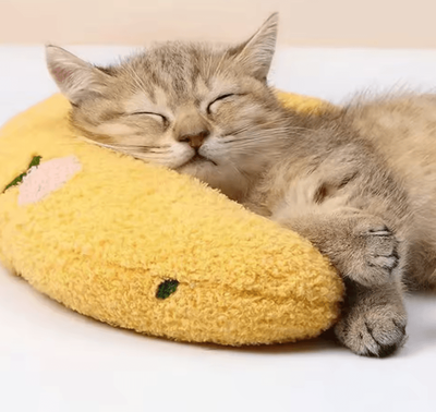 Inspire Curations CloudNest Ultra Soft Calming Cat Pillow Bed For Cozy Sleep & Joint Support yellow