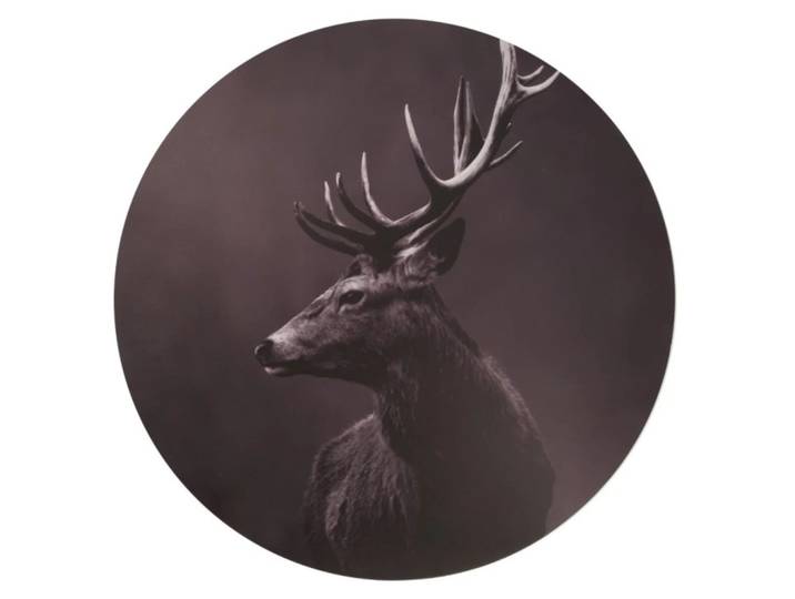 Bilder Hirsch Elvis Decofinder / Farbe: