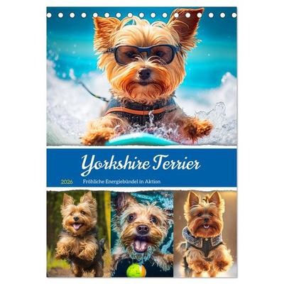 Yorkshire Terrier. Fröhliche Energiebündel in Aktion (Tischkalender 2026 DIN A5 hoch), CALVENDO Monatskalender