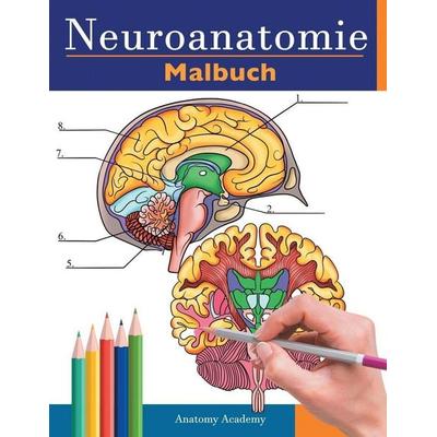 Neuroanatomie Malbuch, Taschenbuch von Anatomy Academy, Muze Publishing, 978-1-83818-868-9