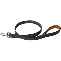 Martin Sellier Hundeleine (100, Hund, Spazieren), Halsband + Leine