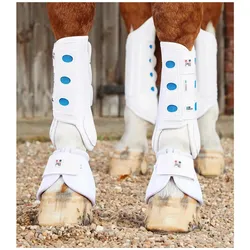 Premier Equine, Pferdebeinschutz, (M)