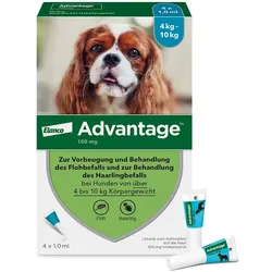 ADVANTAGE 100 Lösung f.Hunde 4-10 kg 4 St
