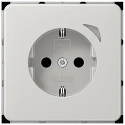 Jung SCHUKO Steckdose 16 A 250V BT CD 1521 S LG BTCD1521SLG