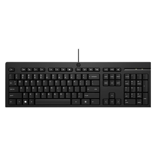 HP 125 Wired Keyboard NRL (US, Kabelgebunden) (M27527-DX1)