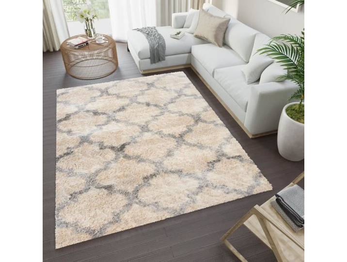TAPISO Tapis Salon Poils Longs VERSAY Beige Gris Trèfle Marocaine Polypropylène Intérieur 140x200 cm