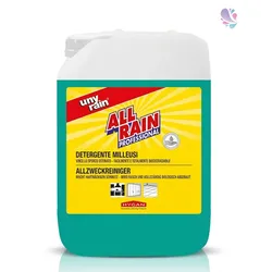 Alkalischer Profi-Allzweckreiniger Hochkonzentrat, 10 Liter Kanister, für alle waschbaren Oberflächen, Vorteilspack