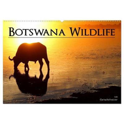 Botswana Wildlife (Wandkalender 2027 DIN A2 quer), CALVENDO Monatskalender