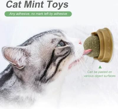 Uplift Essentials Rotatable Wall Mounted Natural Catnip Ball Toy Rotatable Wall Mounted Natural Catnip Ball Toy