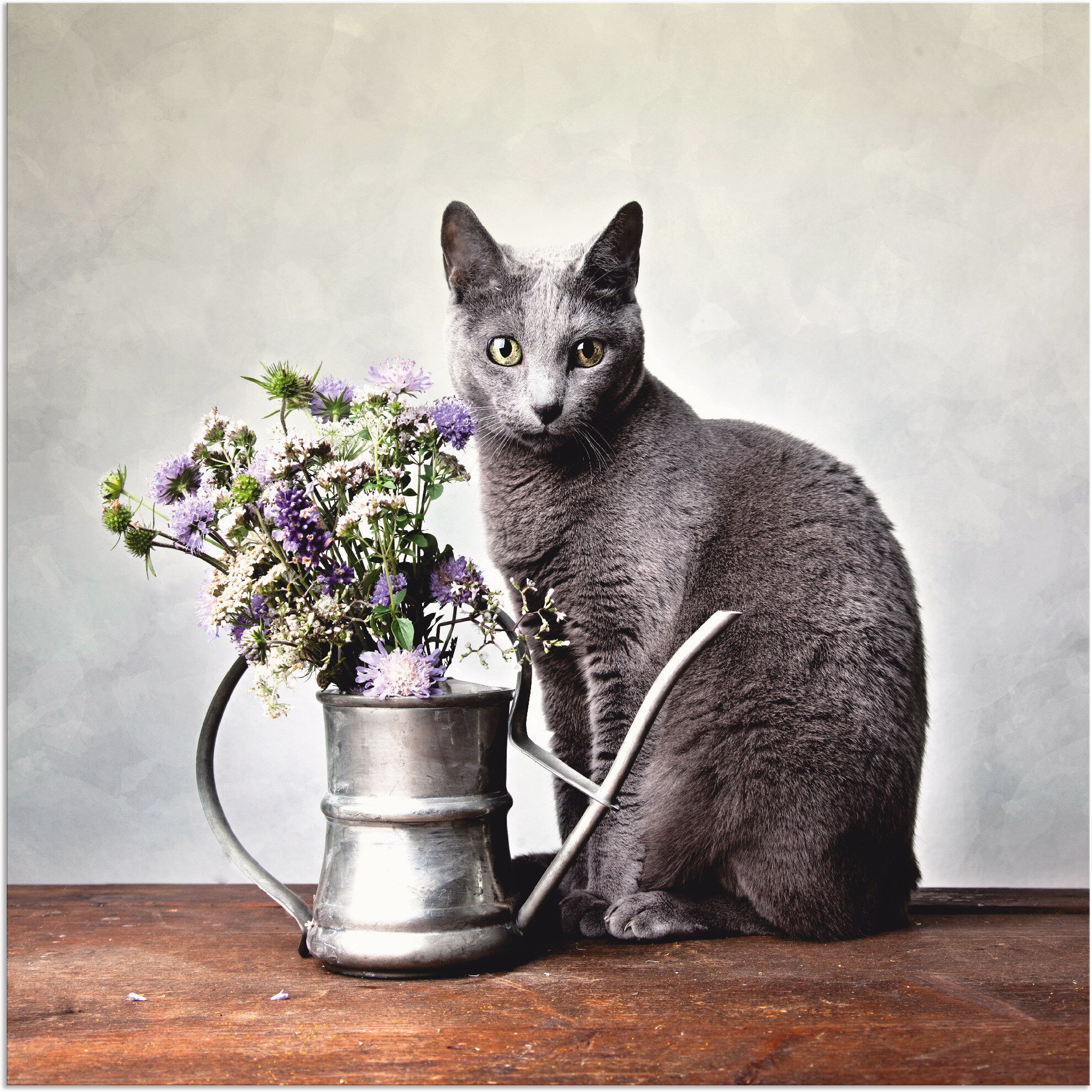 Alu-Dibond-Druck ARTLAND "Katze mit Deko", schwarz (farbe bild(er): schwarz), B:50cm H:50cm, Bilder, Alu-Dibond-Druck, für Innen- und Aussenbereich geeignet, Outdoorbild farbe bild(er): schwarz B/H/T: 50cm x 50cm, Alu-Dibond-Druck Haustiere quadratisch, 1