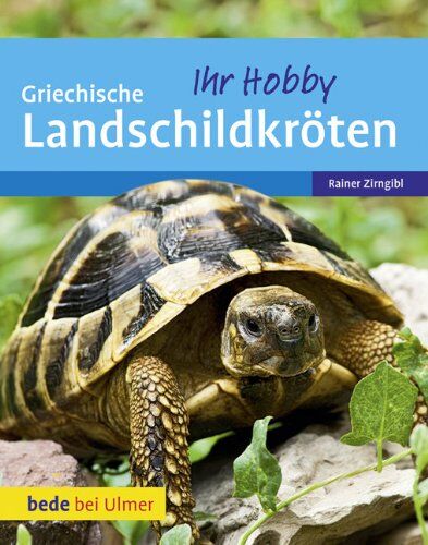 Rainer Zirngibl - Griechische Landschildkröten - Preis vom 30.09.2026 09:01:18 h