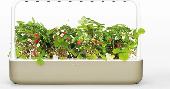Klicken und Wachsen Smart Garden 9 beige