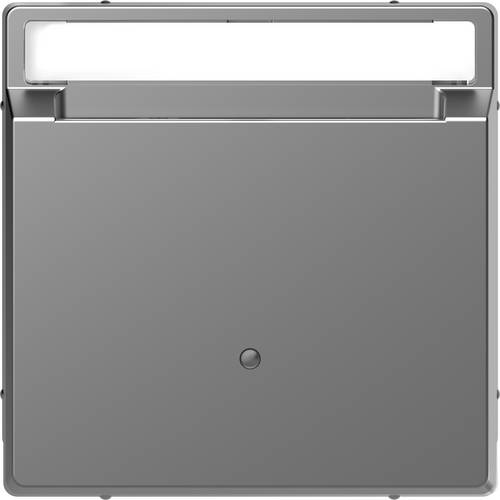 Merten Abdeckung System Design Edelstahl MEG3854-6036 1St.