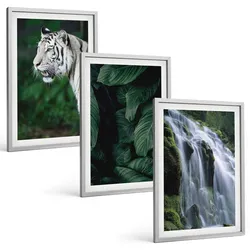 BILDER SET 3er Set - 40x60 cm Silberner Rahmen - Wasserfall aus weißen Tigerblättern