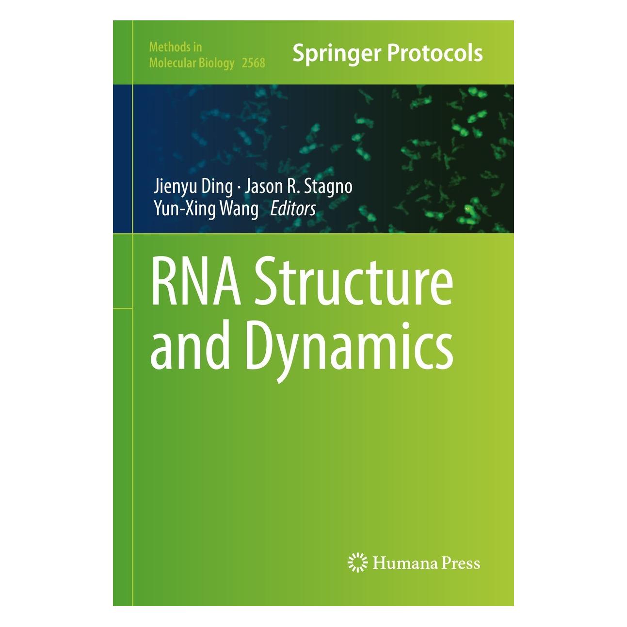 Springer RNA Structure and Dynamics (Englisch, Hardcover, Jason R. Stagno, Jienyu Ding, Yun-Xing Wang) (9781071626863)