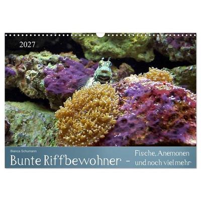 Bunte Riffbewohner - Fische, Anemonen und noch viel mehr (Wandkalender 2027 DIN A3 quer), CALVENDO Monatskalender