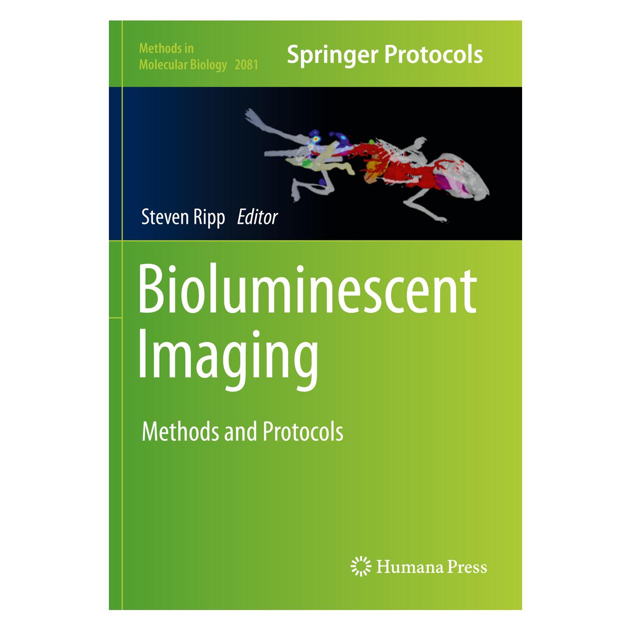 Springer Bioluminescent Imaging (Englisch, Softcover, Steven Ripp) (56163791)