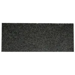 IMAC Ersatzfilter für Katzentoiletten, 15,7 cm x 6,3 cm x 0,2 cm, Set von 4 Stk, Katzenklo Zubehör