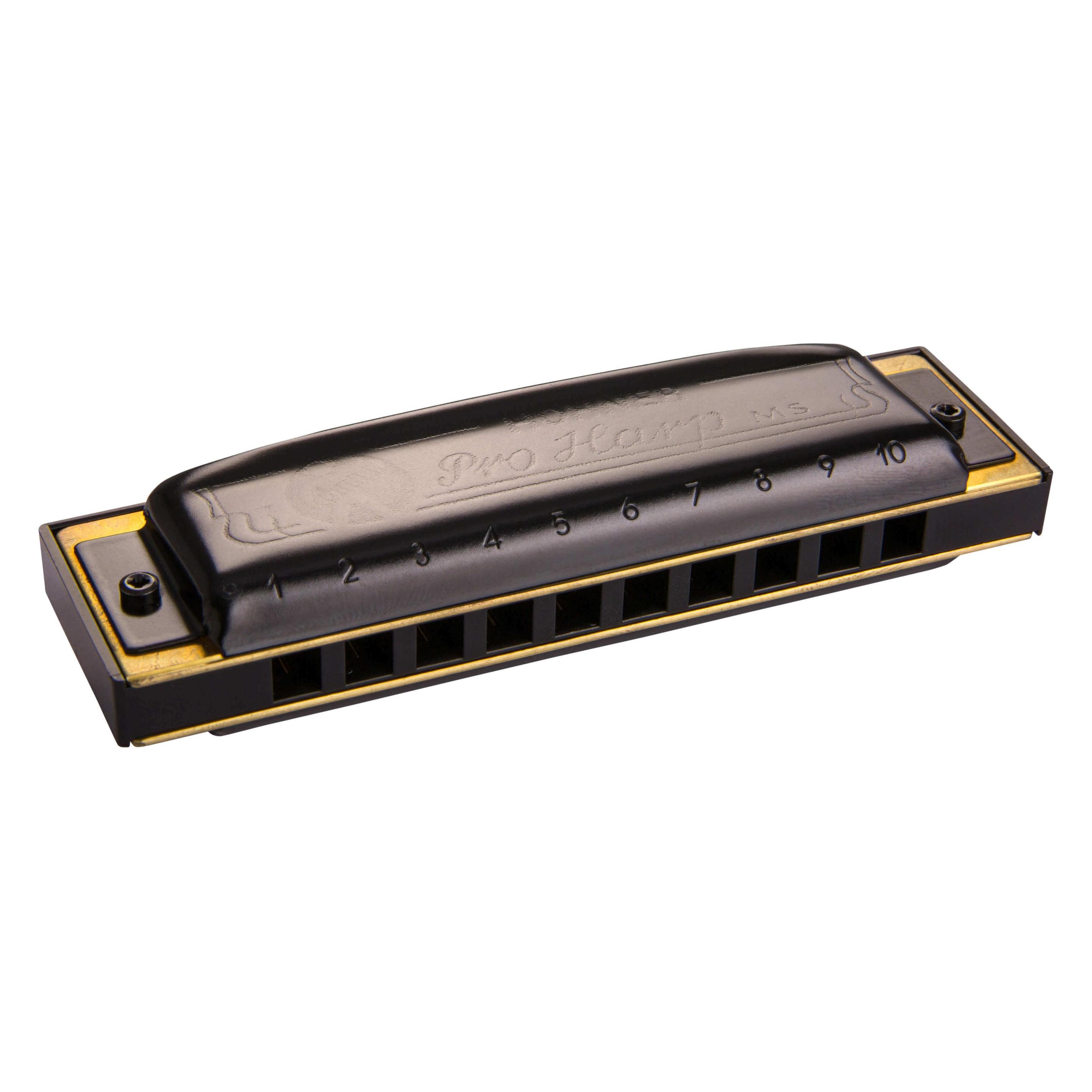 Hohner Pro Harp D-Dur (Mundharmonika, Diatonisch) (M564036P)