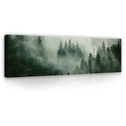 LEINWAND BILDER XXL Wald Nebel Deco Wohnzimmer Schlafzimmer 145x45