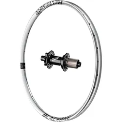 Laufrad Black One 29 Zoll hinten / Reverse Base / 12x148mm (Boost) / Shimano HG / schwarz / silber