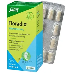 Floradix Eisen plus B12 Kapseln 40 St
