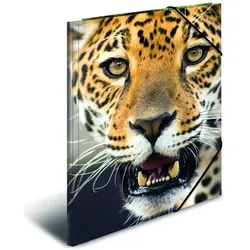 Herma, Mappe, 3 Sammelmappen DIN A4 Leoparden (A4, 3x)